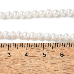 天然養殖淡水パールビーズ連売り  ラウンド  グレード2a+  古いレース  4~4.5mm  穴：0.5mm  約100個/連  14インチ（35.56cm）&nbsp;PEAR-C004-01