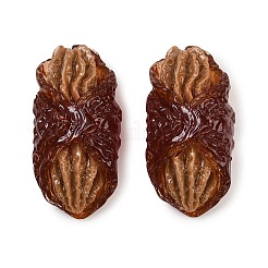 オペーク樹脂カボション  模造食品  ナット  ミックスカラー  37x18x14.5mm&nbsp;RE-CBAF00C-08