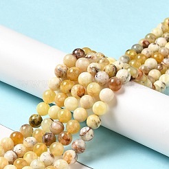 Natural Yellow Opal Beads Strands&nbsp;G-G992-A02-A