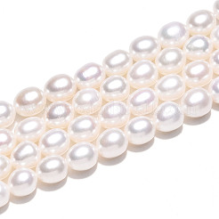 天然養殖淡水パールビーズ連売り  ライス  乳白色  7~8x6.8~7.3mm  穴：0.5mm  約23個/連  7.28~7.48''（18.5~19センチメートル）&nbsp;PEAR-N012-07Z-01