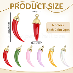 12Pcs 6 Colors Opaque Acrylic Big Pendants&nbsp;FIND-ME0003-97