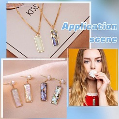 10Pcs 2 Styles Natural Paua Shell Pendants&nbsp;KK-WR0001-71