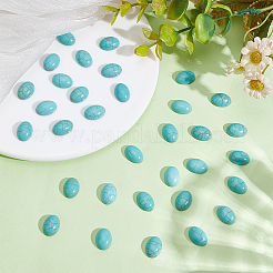 80Pcs Craft Findings Dyed Synthetic Turquoise Gemstone Flat Back Cabochons&nbsp;TURQ-HY0001-05