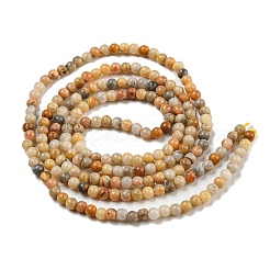 Natural Crazy Lace Agate Bead Strands&nbsp;G-A130-2mm-K10