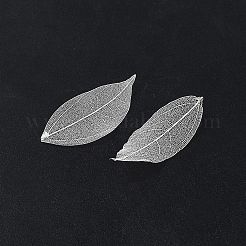 ドライフラワー 葉っぱ クラフト用品  ホワイト  45~50x25~30x0.1mm&nbsp;AJEW-WH20816-056B
