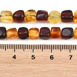 Two Tone Natural Amber Beads Strands&nbsp;G-K426-A03-04