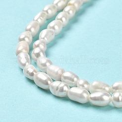 天然養殖淡水パールビーズ連売り  ライス  パパイヤホイップ  5~7.5x4~4.5mm  穴：0.5mm  約58~63個/連  35~36cm&nbsp;PEAR-E016-150