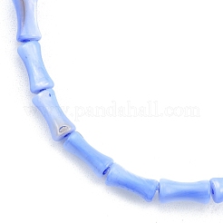 Natural Freshwater Shell Beads Strands&nbsp;SHEL-G013-01