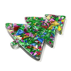 Acrylic Pendants&nbsp;OACR-M009-01B