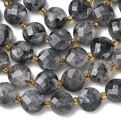 Natural Larvikite Beads Strands&nbsp;G-K389-B85-01