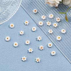 24Pcs 2 Styles Natural Freshwater Shell Beads&nbsp;SHEL-HS0001-05