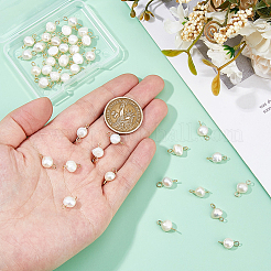 40Pcs Natural Cultured Freshwater Pearl Two Sides Polished Connector Charms&nbsp;PALLOY-FH00102