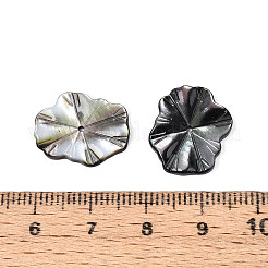 天然の黒リップシェル彫刻リーフビーズ  天然淡水シェル  18x14x2mm  穴：1mm&nbsp;BSHE-T014-31B