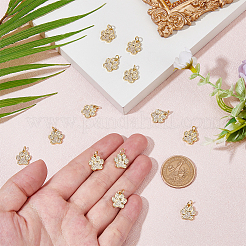 12Pcs Rack Plating Brass Micro Pave Cubic Zirconia Charms&nbsp;ZIRC-HS0001-14