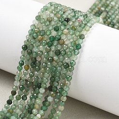 Natural Green Aventurine Beads Strands&nbsp;G-RM250104-E6