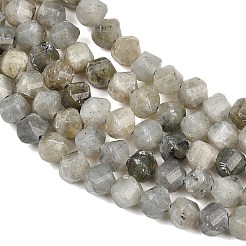 Natural Labradorite Beads Strands&nbsp;G-P611-C26-01