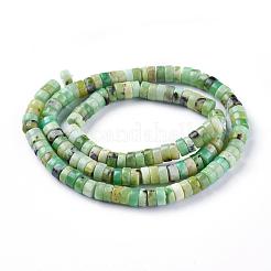Natural Serpentine Beads Strands&nbsp;G-F612-03
