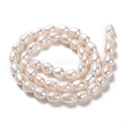天然養殖淡水パールビーズ連売り  ライス  ビスク  8~9x7mm  穴：0.6mm  約36~38個/連  14~14.5インチ&nbsp;PEAR-L033-74