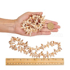 Natural Spiral Shell Beads Strands&nbsp;BSHE-SZ0001-03