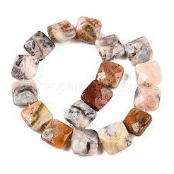Natural Crazy Agate Beads Strands&nbsp;G-T138-164