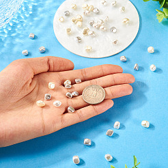 60Pcs 3 Colors Electroplated Shell Pearl Beads&nbsp;BSHE-TA0001-13