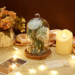 Glass Dome Cover&nbsp;AJEW-WH0270-426