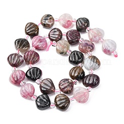 天然トルマリンの彫刻ビーズ連売り  シェル形状  シードビーズで  12~13x13~14x4~7mm  穴：0.8~1mm  約26個/連  15.35''（39センチメートル）&nbsp;G-H339-A01-01