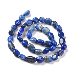 Natural Lapis Lazuli Beads Strands&nbsp;G-F575-01E