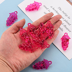 Autumn Theme Transparent Acrylic Beads&nbsp;TACR-S154-60B-906