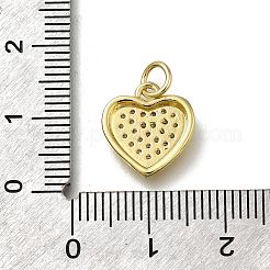 Brass Micro Pave Clear Cubic Zirconia Pendants&nbsp;ZIRC-I070-143G