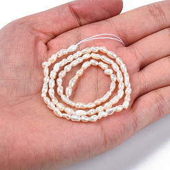 Natural Cultured Freshwater Pearl Beads Strands&nbsp;PEAR-N012-02F
