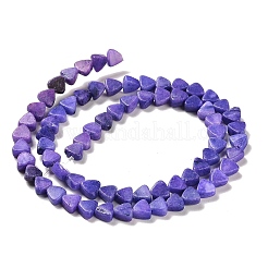 Natural Dolomite Beads Strands&nbsp;G-F765-H08-01