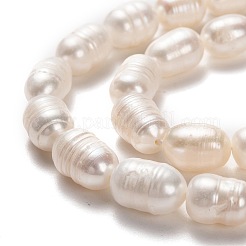 Natural Cultured Freshwater Pearl Beads Strands&nbsp;PEAR-L033-76