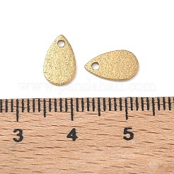 304 Stainless Steel Charms&nbsp;STAS-G393-05G-01