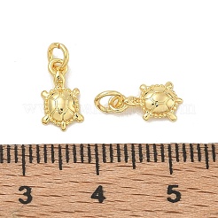 亀の真鍮製チャーム  18KGP本金メッキ  10x6x2mm  穴：2.5mm&nbsp;KK-E797-08G