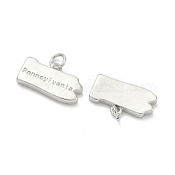 真鍮チャーム  ペンシルバニアの文字が入ったナゲットチャーム  長持ちメッキ  ラックめっき  鉛フリー＆カドミウムフリー  プラチナ  10.5~11x18x2.5mm  丸カン：5x1ミリ  3内径。&nbsp;KK-D229-22N-P