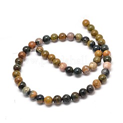Natural Ocean Jasper Beads Strands&nbsp;G-P075-55-8mm