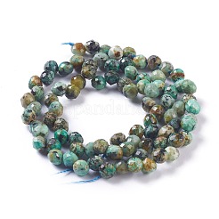 Natural African Turquoise(Jasper)  Beads Strands&nbsp;G-H243-10