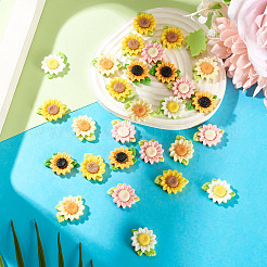 40Pcs 5 Colors Opaque Resin Decoden Cabochons&nbsp;CRES-TA0001-86