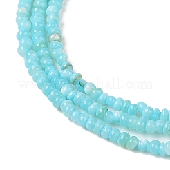 Natural Freshwater Shell Beads Strands&nbsp;SHEL-P017-01A-03