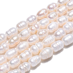 Natural Cultured Freshwater Pearl Beads Strands&nbsp;PEAR-N012-05J