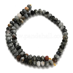 Natural Eagle Eye Stone Beads Strands&nbsp;G-Z111-A11-02