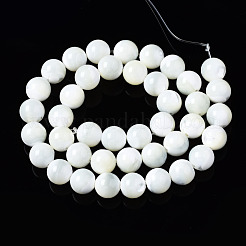 天然トロチッドシェル/トロカスシェルビーズ連売り  ラウンド  漂白  貝殻色  10mm  穴：1mm  約41~42個/連  15.75インチ（40cm）&nbsp;SSHEL-S266-023A-04