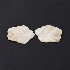 Natural Freshwater Shell Pendants&nbsp;SHEL-H001-04