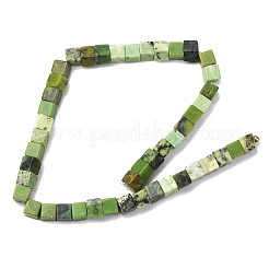 Natural Serpentine Beads Strands&nbsp;G-B155-C01-8x8mm