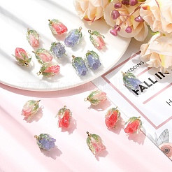 6個3色透明アクリルパーツ  花  真鍮のパーツと  ミックスカラー  20x12~13x12~13mm  穴：1.6mm  2個/カラー&nbsp;SACR-YW0002-09