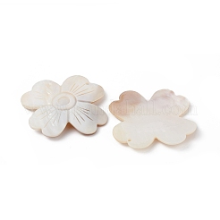 Natural Freshwater Shell Big Pendants&nbsp;BSHE-G033-08