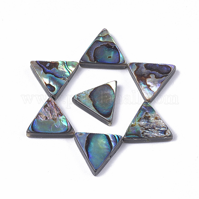 Abalone Shell/Paua Shell Beads&nbsp;SSHEL-T008-16-1