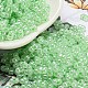 セイロンガラスシードビーズ  ピーナッツ  淡緑色  4~4.5x2~2.5x2~2.5mm  穴：0.8~0.9mm  約10000個/ポンド&nbsp;SEED-K009-02B-27-1
