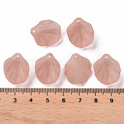 Transparent Frosted Acrylic Pendants&nbsp;MACR-S371-01A-763